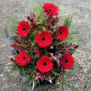 Gorgeous Gerbera Red