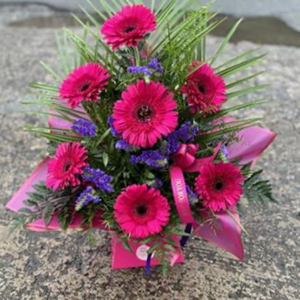 Gorgeous Gerbera Pink