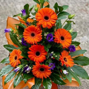 Gorgeous Gerberas