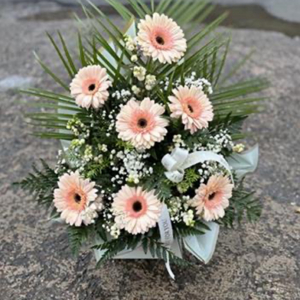 Gorgeous Gerbera