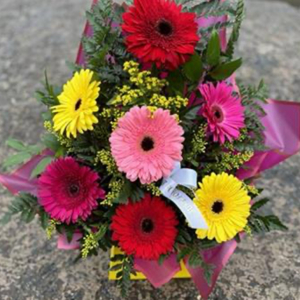 Gorgeous Gerberas Vibrant