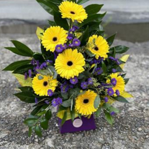 Gorgeous Gerberas Yellow