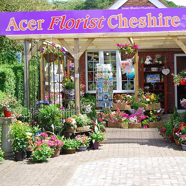 Acer Florist Cheshire