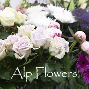ALP Flowers