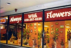 Always With Flowers