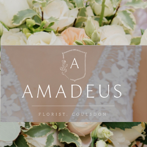 Amadeus Florist