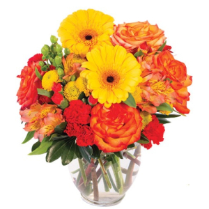  - Treat your favorite person to these bold and bright flowers!  A dazzling array of orange and yellow, Amber Awe is full of lively roses, gerberas, alstroemeria, and mini carnations. Perfect for almost any occasion, send Amber Awe today! They're sure ...