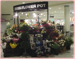 At The Flower Pot