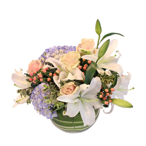  - This beauty adds a colorful twist to your winter decor! Bring the season indoors with our beautiful Aura of Winter arrangement! With blue hydrangea, white oriental lilies, blue hypericum, light pink roses, and more, this blooming design is the perfec...