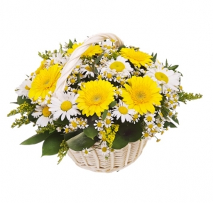  - Composition in a basket of yellow and white flowers with gerberas and daisies …. a real ray of sunshine!

