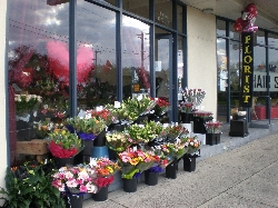 Bella Floral Boutique