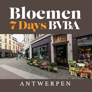 Bloemen 7 days BVBA
