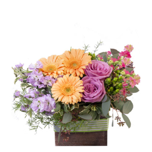  - This delightful bouquet is sure to captivate! Filled with gorgeous peach gerberas, lavender roses, pink larkspur, lavender stock, and more, Blooming Wild is a delicate and elegant mix. Send this stunning pastel arrangement to someone you love today!