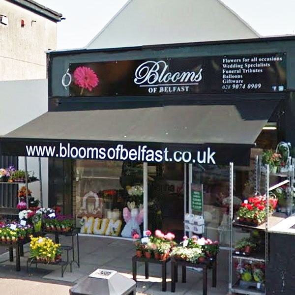Blooms of Belfast