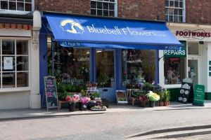 Bluebell Flowers