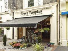 Blush Temples