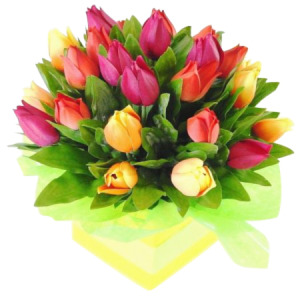 Box Arrangement Of Tulips