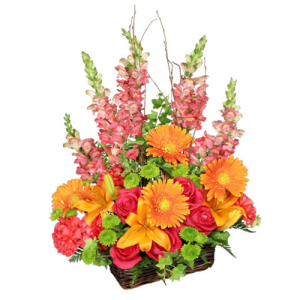  - There are so many ways to celebrate with a basket of flowers like these! Our Brilliant Basket is filled with roses, carnations, snapdragons, lilies, gerberas, and more. This arrangement is an enchanting gift. With blooms as bright as these, they'll ...