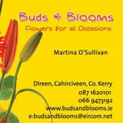 Buds and Blooms
