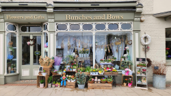 Bunches & Bows