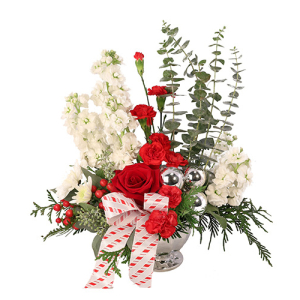  - These festive flowers are sure to bring the holiday to life! A red and white delight, Candy Cane Carnations is full of red carnations and roses decorated with white stock and daisies. Send someone the gift of fresh flowers this holiday season with a ...