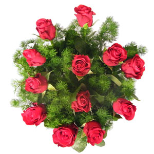 Classic Red Roses