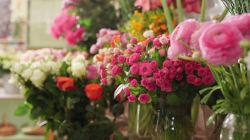 Cloud Nine Florist