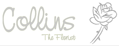 Collins The Florist