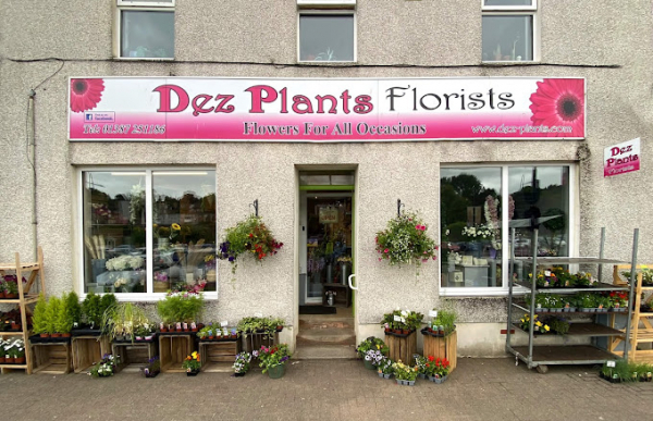 Dez Plants