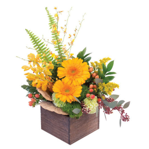  - Fresh and bright, this bouquet is a stunning sight! With beautiful yellow Mokara orchids, green carnations, yellow Oncidium orchids, yellow gerberas, and more, Earthy Indulgence adds a wild and luxurious twist to the modern design. Add some natural v...