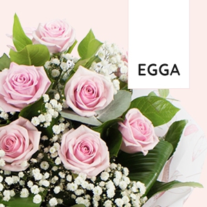 EGGA LLC