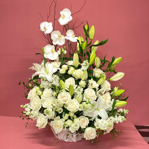  - Arrangement of fresh white flowers