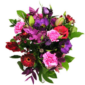  - Stunning fresh cut flowers in pinks and purples (vibrant).           