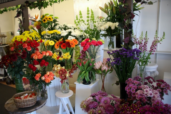 Findlays Flower Studio