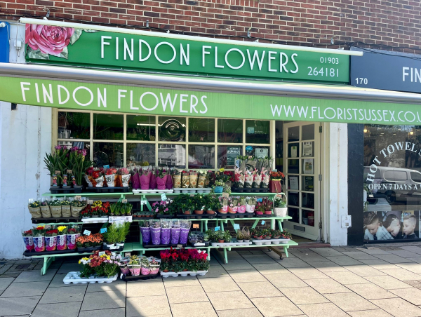 Findon Flowers 