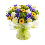  - White rose, yellow gerbera, green chrysanthemum and blue iris beautifully wrapped and hand tied.


