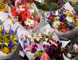 Sash flowers