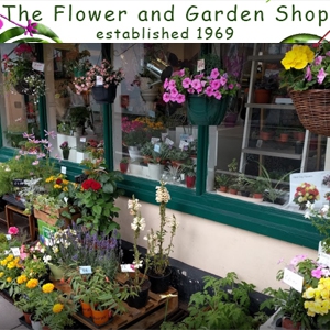 Flower and Garden Shop