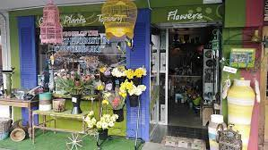 Flower Bazaar