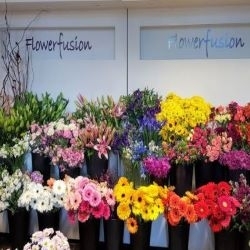Flowerfusion - Flowers & Gifts 