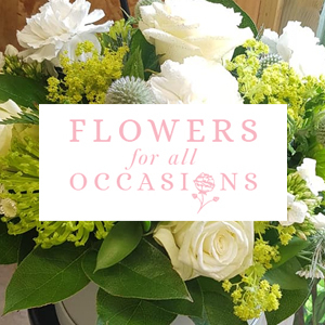 Flowers for all Occasions
