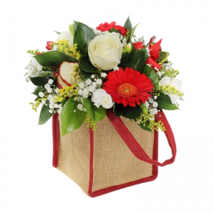  Order Jingle Bells flowers