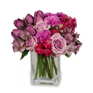  Order Precious Purples flowers