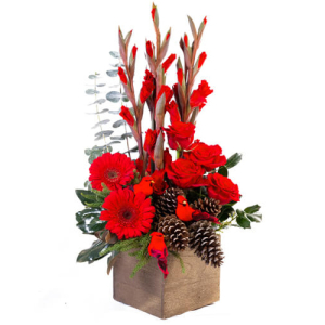 Rustic Red Christmas