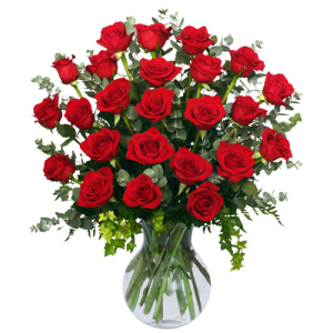 24 Radiant Roses