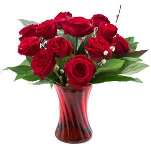 12 Red Roses