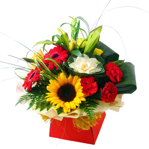 Florist Choice Boxes