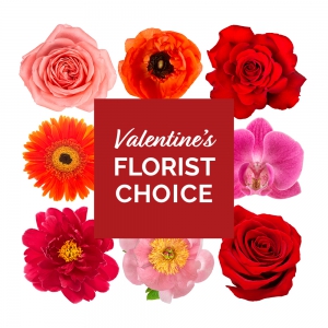  Order Valentine's Florist Choice flowers