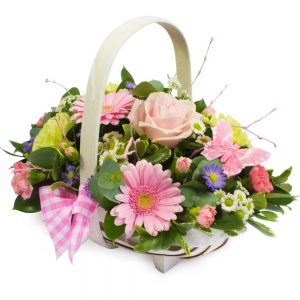 Naturplant | Benidoleig Florist | Flower Shop | Flower Delivery