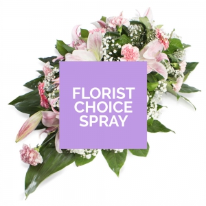 Florists-choice-spray Image